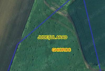Teren de 23700 mp, în Ghioroc - 4