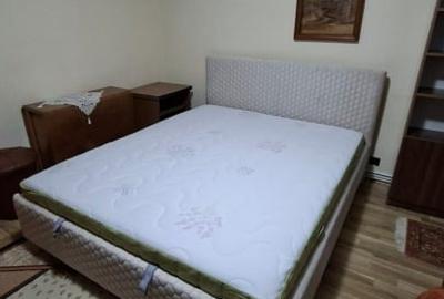 Garsonieră, mobilată în Nicolina - 8