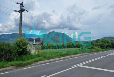 Teren agricol intravilan de 10667 mp, în Cheile Râșnoavei
