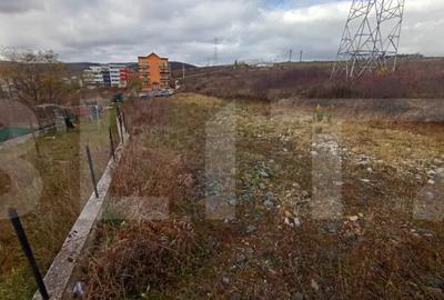 Teren de 4642 mp, în Baciu - 2