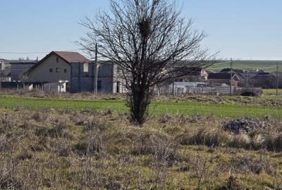 Teren Construcții intravilan de 400 mp, în Periferie - 4