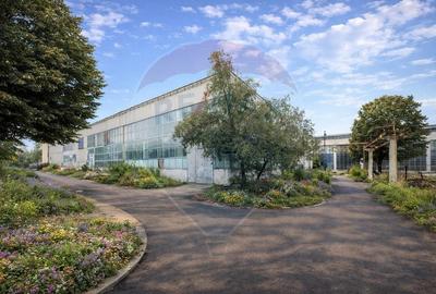 Hala 2.700 mp + birouri 800 mp + teren 4000 mp AEROPORT BRASOV - 4