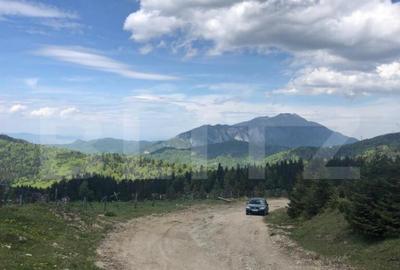 De vanzare, teren intravilan 5.500mp, Predeal - 2