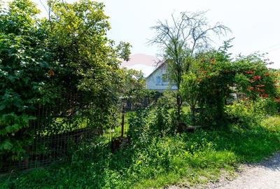 Casă individuală cu 6 camere cu Teren 6082 Mp în Podele - 36