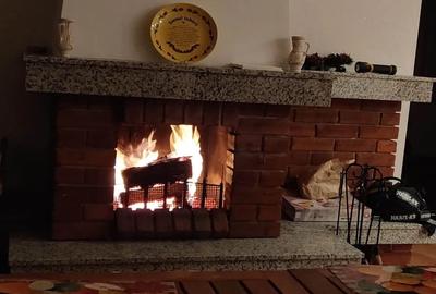 Cabana de vanzare , 320 mp utili, zona Belis - 4