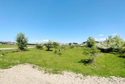 Teren Construcții intravilan de 1333 mp, în Sânpetru - 6