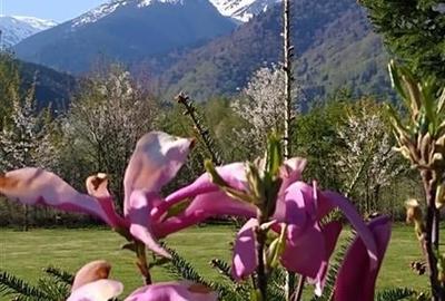 Intr o pozitionare cu apa curgatoare si incantare montana, Dejani, Fagaras - 3