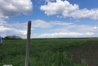 Spațiu comercial, în Central