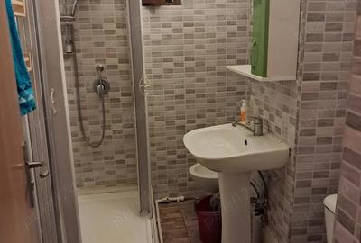 Apartament renovat 2 camere mall electroputere lapus 500e totu inclus in pret - 4