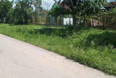 Casă cu 2 camere în Alioș - 6