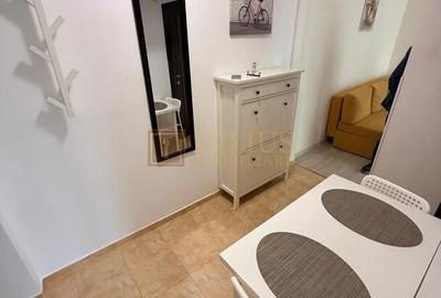 Apartament cu 2 camere semidecomandat, mobilat în Dacia - 10