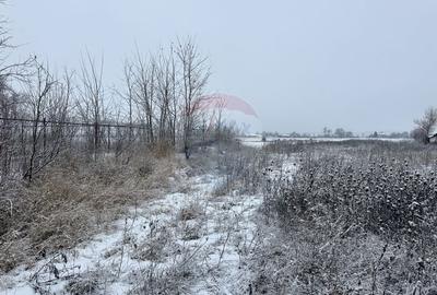 Teren 7,200mp Bodestii de Jos / Strada Bodesti - 3