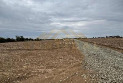 Teren Intravilan 500 mp, comuna Vidra Teren Intravilan 500 mp, comuna Vidra - 2