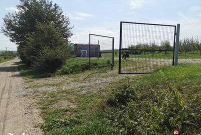 Teren de 665 mp, în Roșia - 2