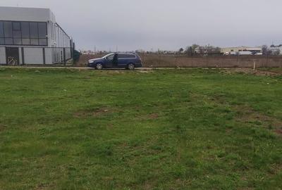 Teren de 1667 mp, în Cernica