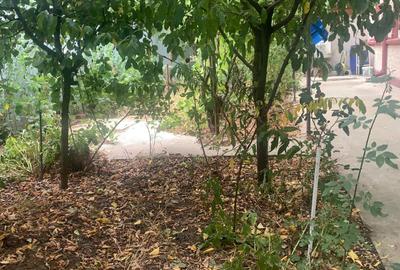 Voluntari Casa 2 camere 100 000eur - 11