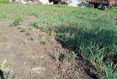 Casă cu Teren 2000 Mp în Mereni - 5