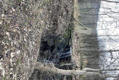 Casă cu Teren 2388 Mp în Fântânele - 6