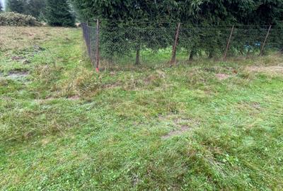 Teren de 900 mp, în Beliș - 3