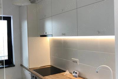 Apartament cu 2 camere decomandat, mobilat în Parcul Carol - 4