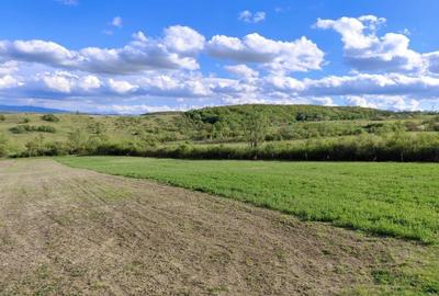 Spațiu comercial, în Răcăștia - 2