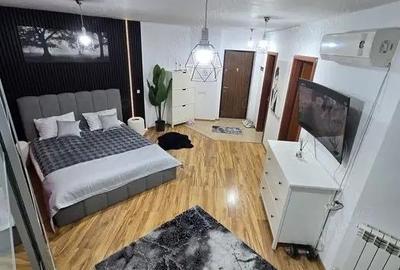 Garsonieră semidecomandată în Doamna Ghica - 2