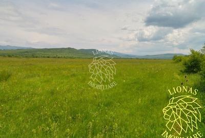 Teren extravilan de 13100 mp, în Orheiu Bistriței