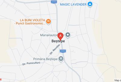 Teren agricol extravilan de 20000 mp, în Beștepe - 1