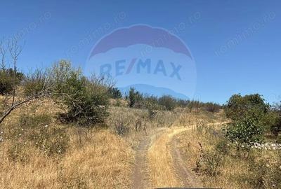 De vanzare Teren Extravilan- Cernavoda - 2