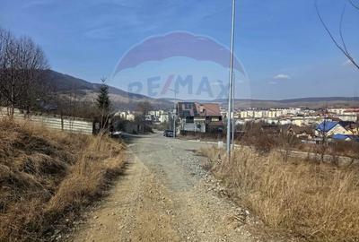 Teren Construcții intravilan de 500 mp, în Calea Romanului - 4