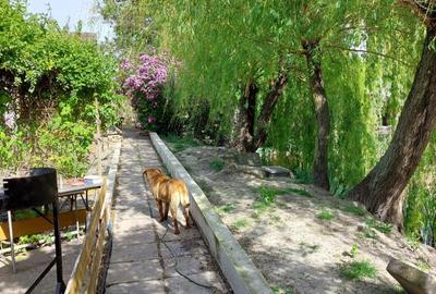 Vand proprietate - 2