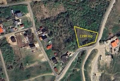 Teren de 1190 mp, în Boldești - 4