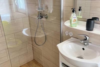 Cabana cu 4 dormitoare, foisor, ciubar, Statiunea Muntele Baisorii - 7