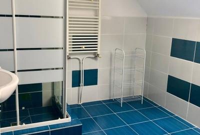 Apartament 2 camere, 53 mp, mobilat utilat, zona Muzeul Apei - 7