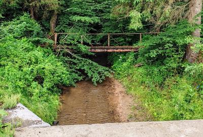 2,64 Ha TEREN SUPERB pe malul raului Crisul Repede padure parau NEGRENI - CLUJ - 8