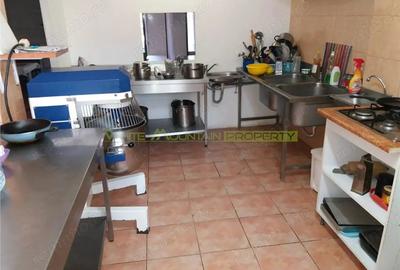 Vila 6 camere, inchiriere lunga durata, Calea Serban Voda, Bucuresti - 5