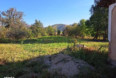 Casă cu 3 camere în Bârsa - 11