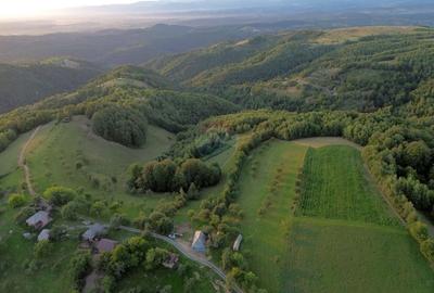 Preluca Noua jud. MARAMURES TEREN DEOSEBIT DE VANZARE - 14