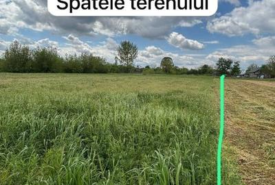 Teren Construcții intravilan de 3743 mp, în Frunzaru - 4