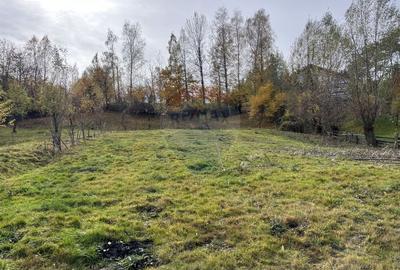 Teren de Vis in Bran - 1000mp Plat, Liniste Absoluta si Aer Curat - 20