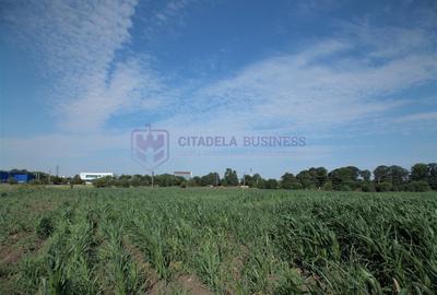 Teren Construcții intravilan de 1500 mp, în Lazu - 8