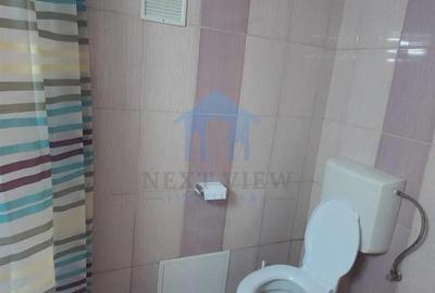 Apartament 1 camera, Gruia - 7
