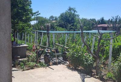 Casa de vanzare sau schimb cu ap - 1