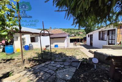Casă cu 4 camere în Vulturi - 15