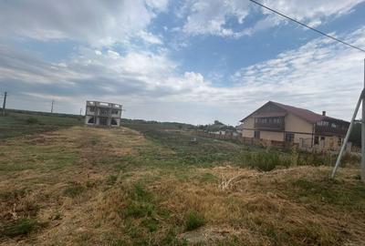 Teren Construcții intravilan de 5000 mp, în Breasta