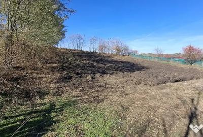 Casă cu 3 camere cu Teren 2000 Mp în Sărmășel - 6
