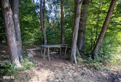 Teren de 6800 mp, în Vulcan - 6