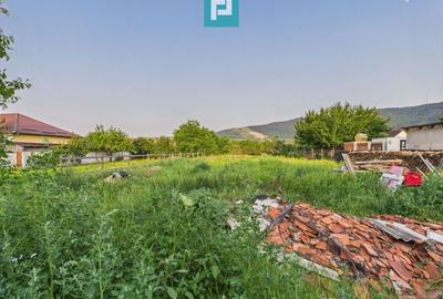 Casă cu 3 camere în Galșa, Arad, teren 1197 mp - 16