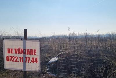 Descriere teren de vânzare – Clinceni, lângă Lacul Nicmar - 3