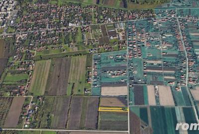 Teren de 2700 mp, în Păulești - 2